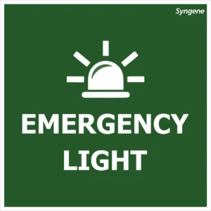 Emergency Light