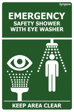 Safety Shower with Eye Washer