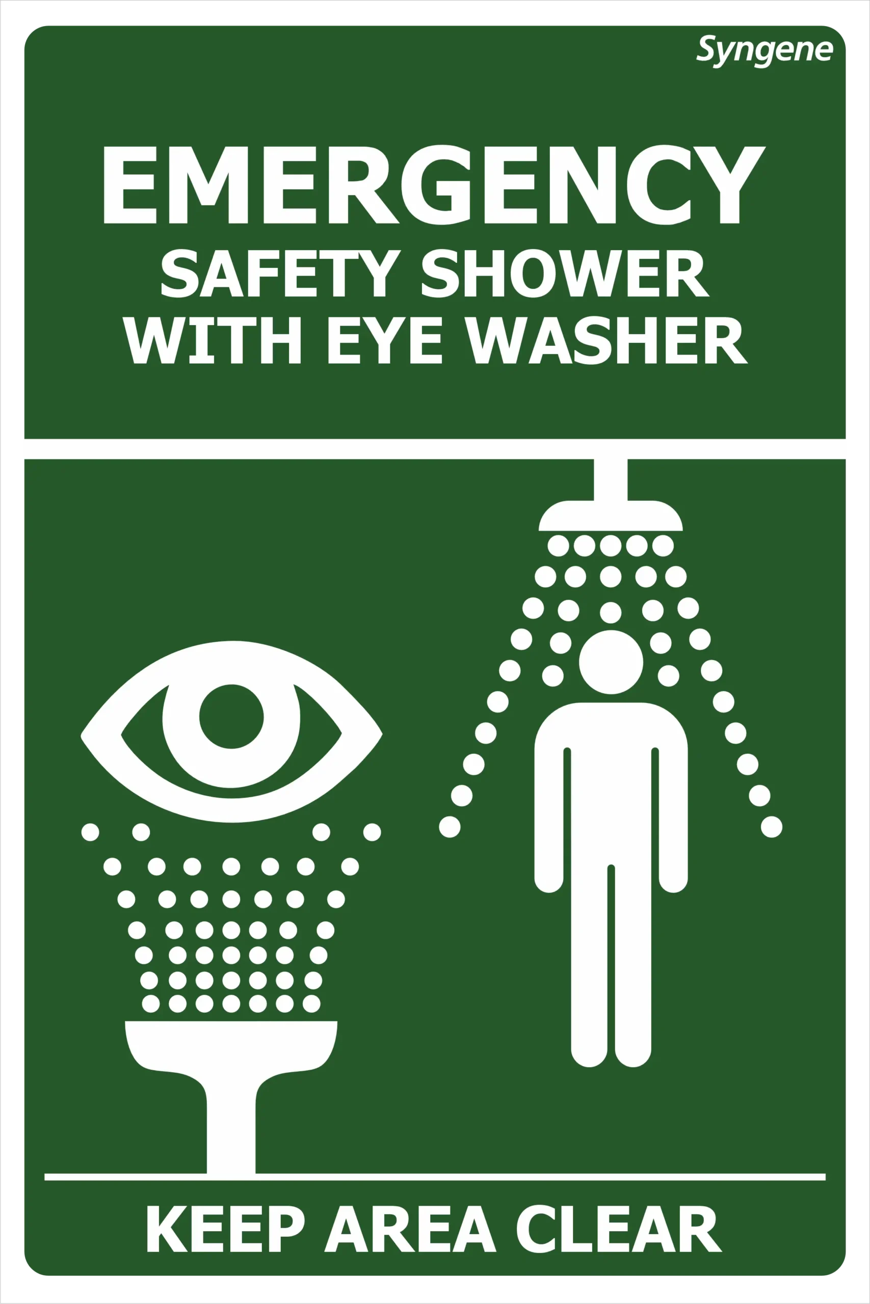 Safety Shower with Eye Washer
