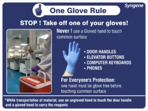 One Glove Rule