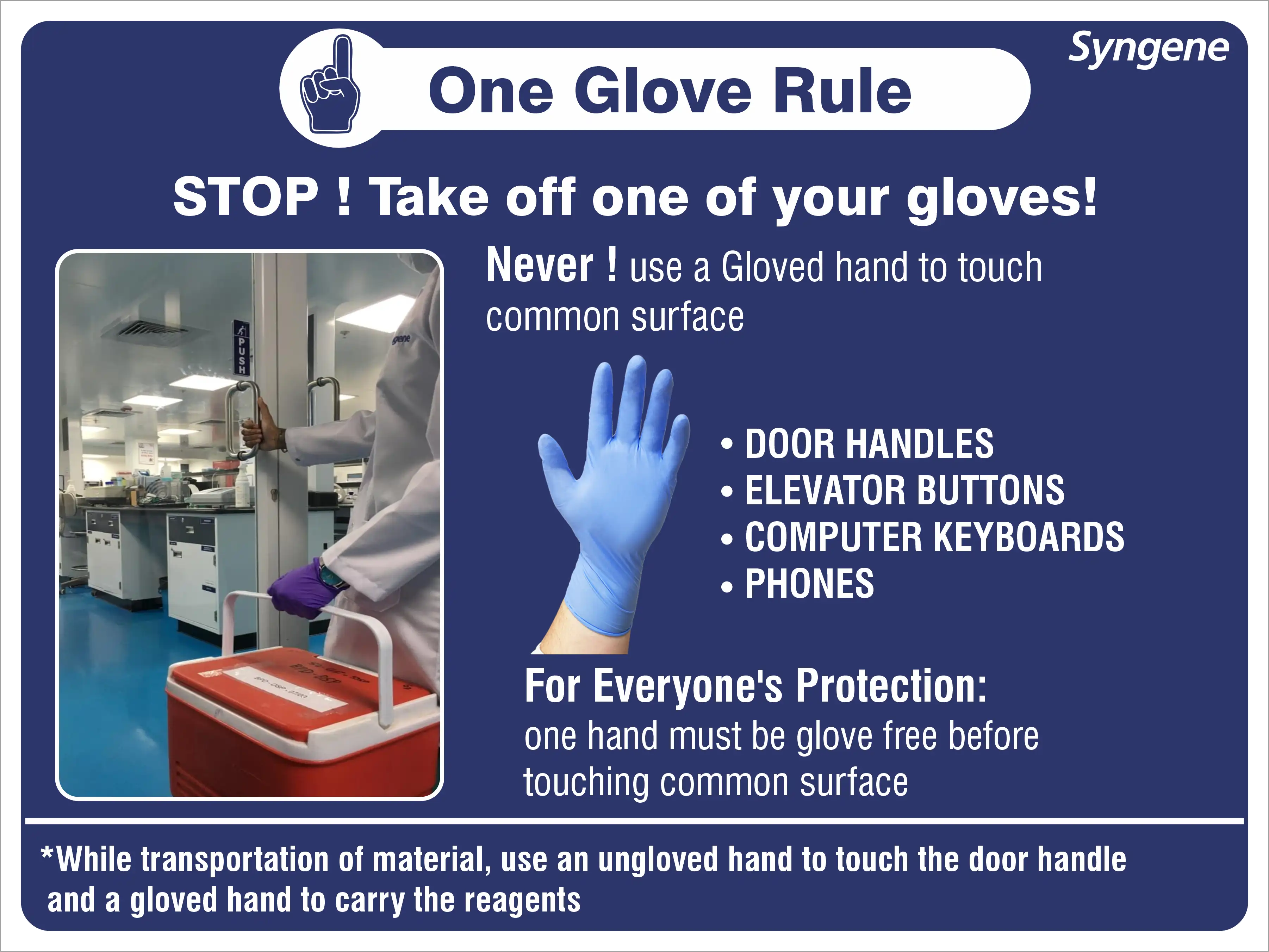One Glove Rule