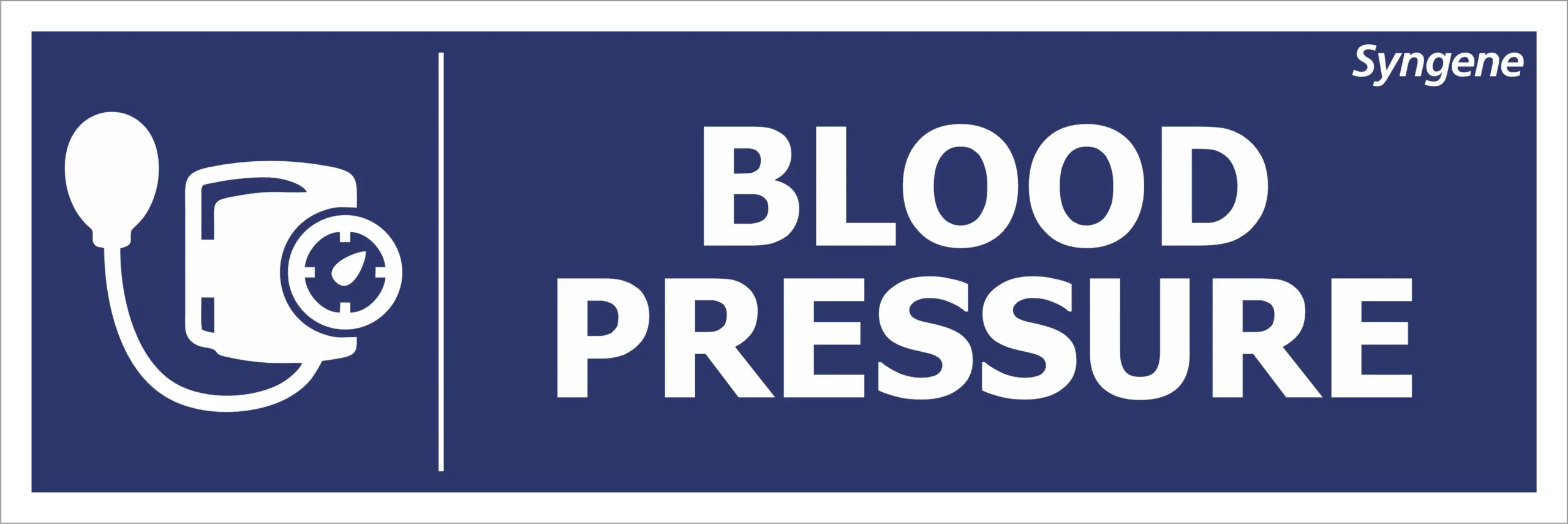 Blood Pressure Monitor