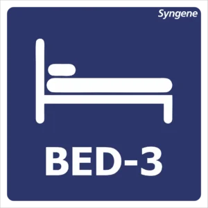 Bed-3