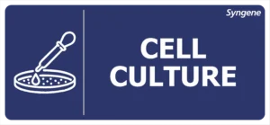 Cell Culture