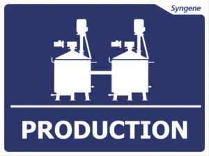 Production