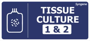 Tissue Culture 1 & 2