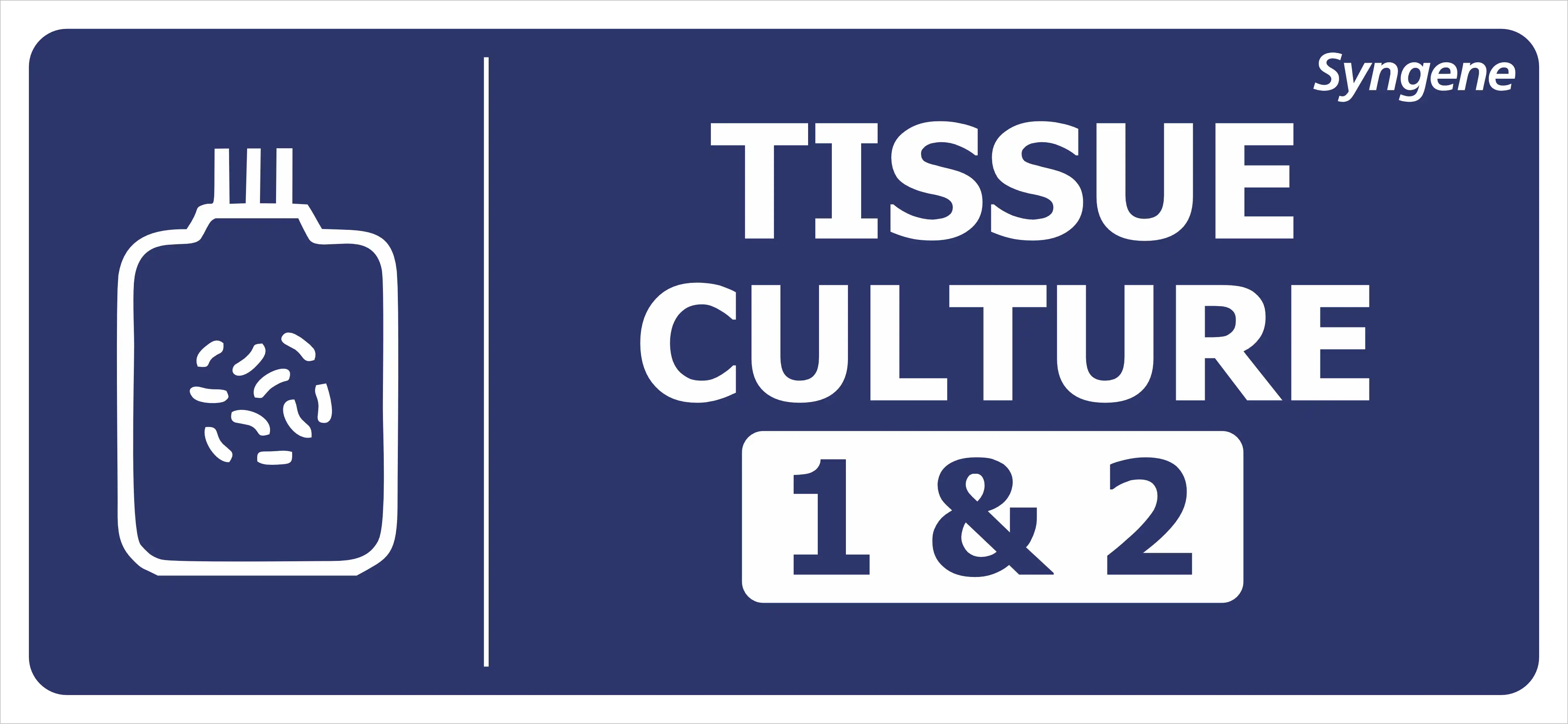 Tissue Culture 1 & 2