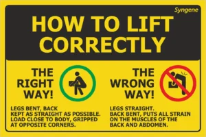 How to Lift Correctly