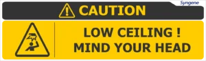 Low Ceiling – Mind Your Head