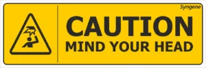 Mind Your Head