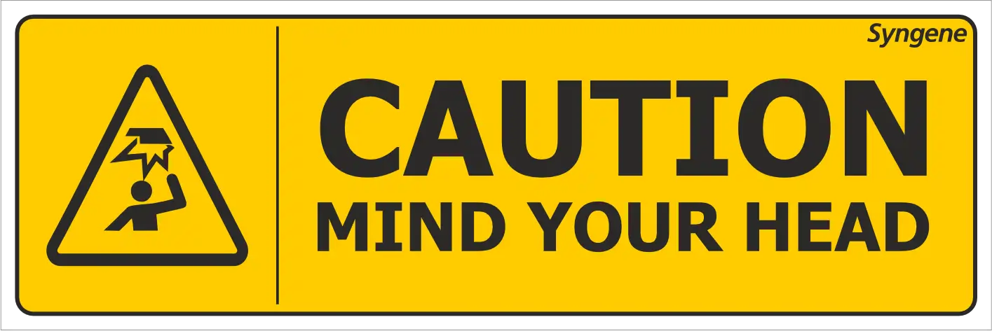 Mind Your Head