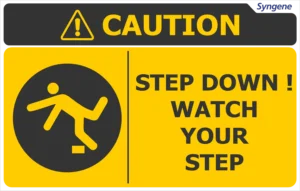 Step Down – Watch Your Step