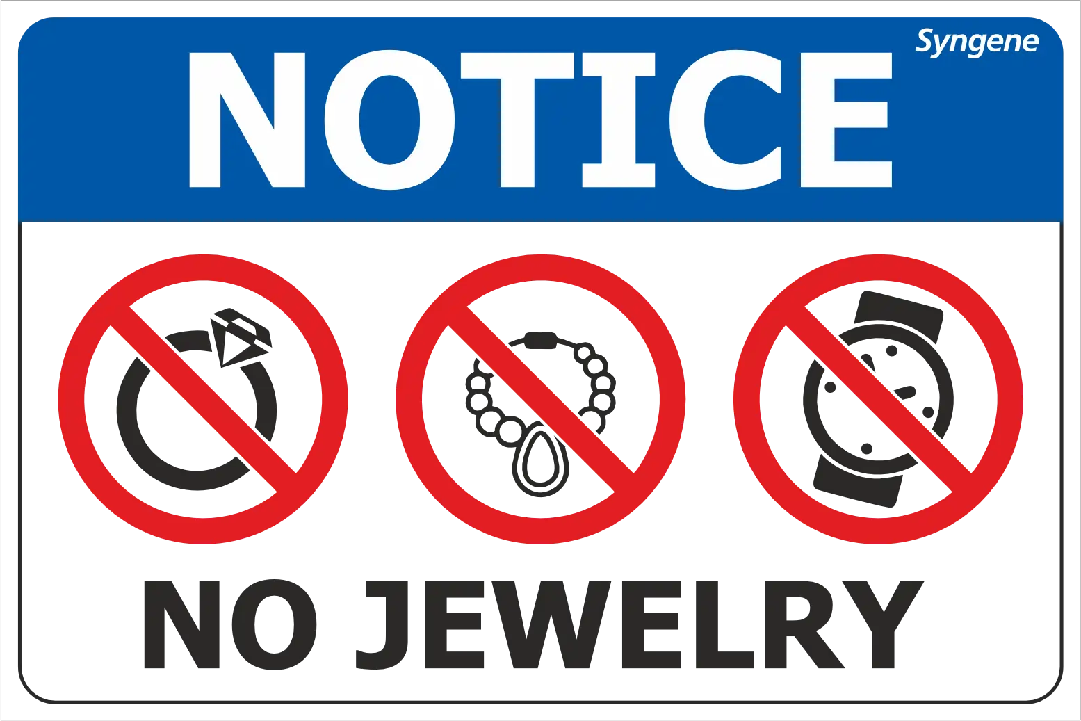 No Jewelry