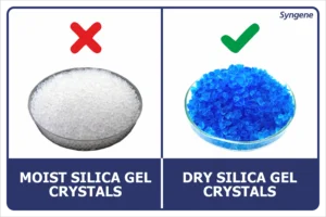 Moist vs Dry Silica Gel Crystals