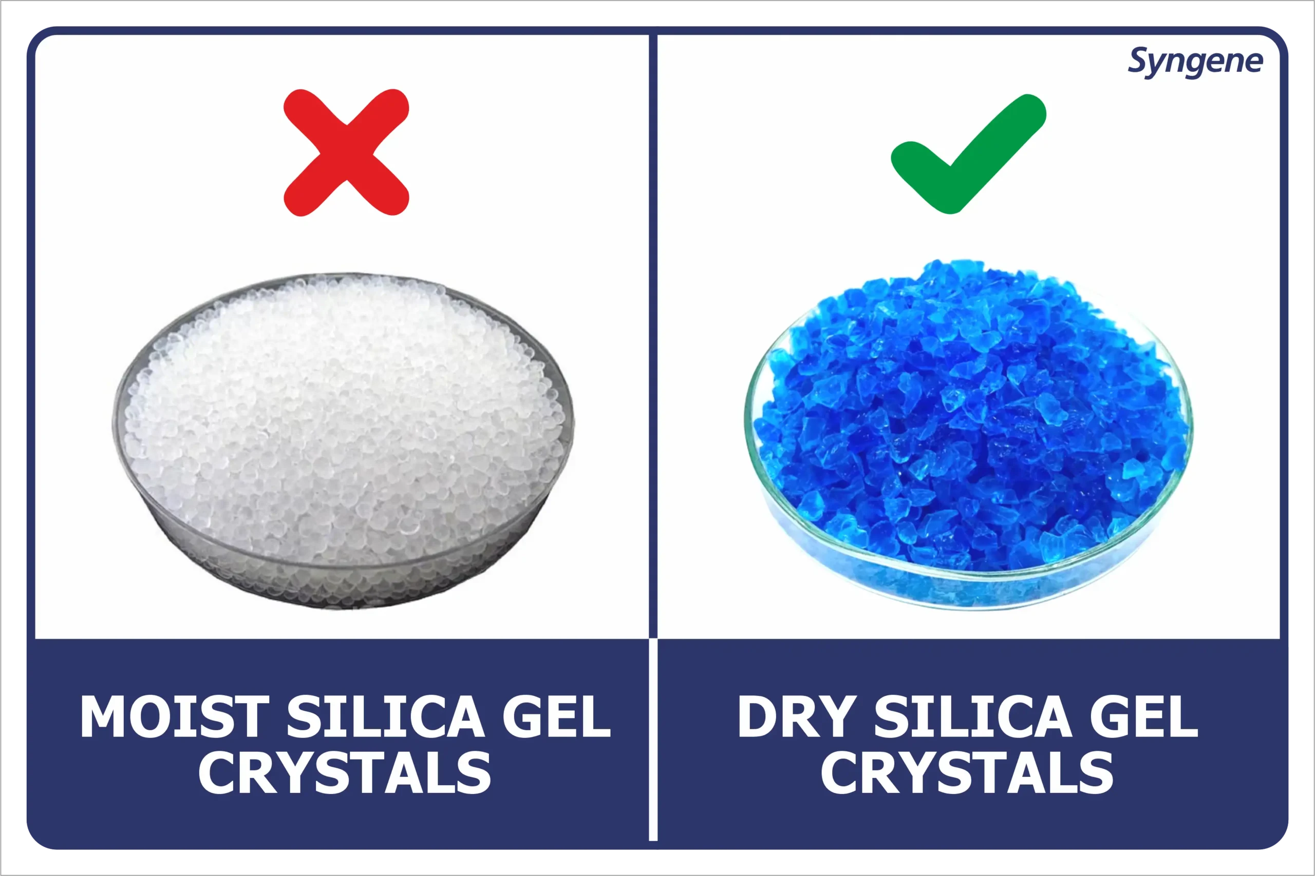Moist vs Dry Silica Gel Crystals