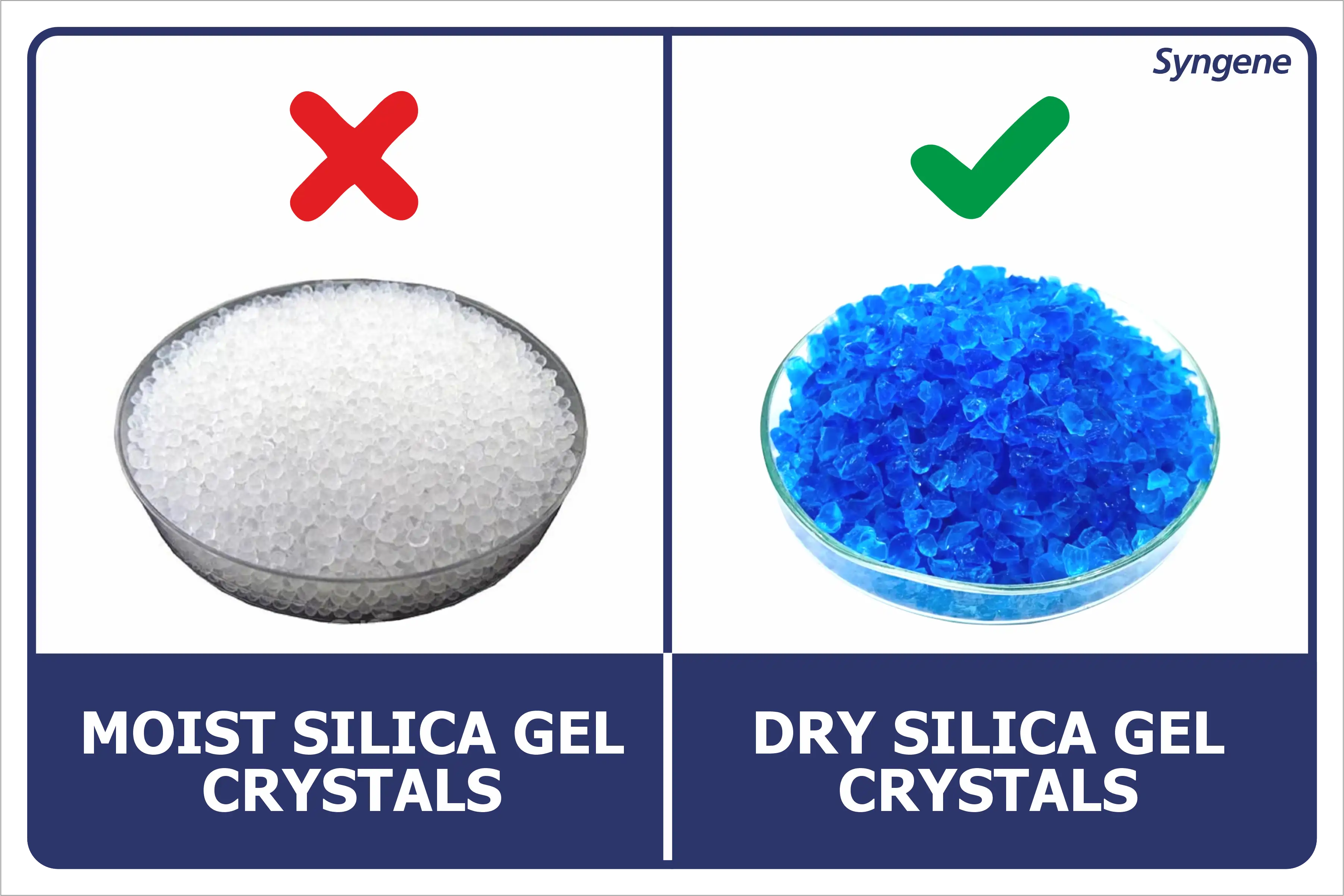 Moist vs Dry Silica Gel Crystals